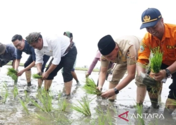 Pemkab Bangkalan perkuat ekonomi pertanian melalui KWT