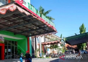 Tiga pasien DBD anak-anak di Situbondo meninggal dunia