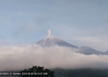 Semeru alami erupsi lontarkan abu vulkanik setinggi 800 meter