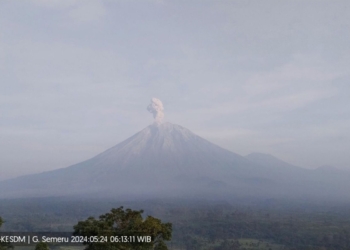 Semeru alami erupsi enam kali dengan letusan abu hingga 900 meter