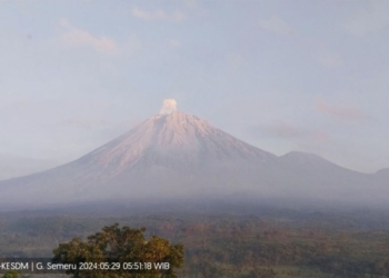 Semeru alami erupsi dengan letusan setinggi 500 meter