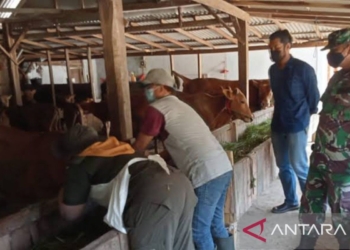 Pemkab Bangkalan minta tambahan 10 ribu vaksin ke Pemprov Jatim