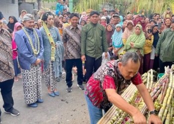 PG Redjosarie Magetan targetkan giling 3,1 juta kuintal tebu