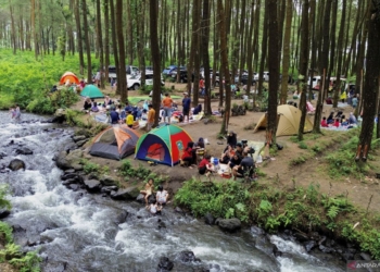 Potensi wisata hutan pinus di Lumajang