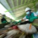 Pengolahan sampah TPS Balak – ANTARA News Jawa Timur