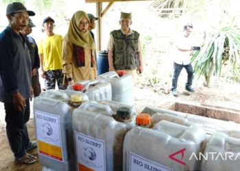 Peternak Banyuwangi manfaatkan kotoran ternak jadi biogas