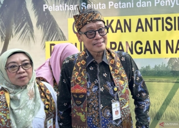 Kementan optimistis kekurangan pasokan beras terpenuhi