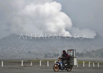 Balai Besar TNBTS lakukan penataan pelaku jasa wisata