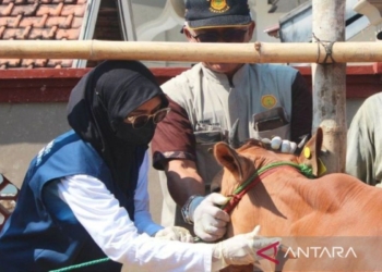 Pemkab Bangkalan dukung penguatan ekonomi peternakan