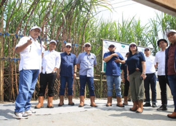 PTPN I targetkan produksi 8 ton per hektare dukung swasembada gula