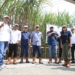 PTPN I targetkan produksi 8 ton per hektare dukung swasembada gula