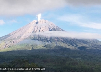 Semeru kembali alami erupsi disertai abu vulkanik setinggi 800 meter