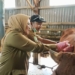 Pemkab Lumajang tingkatkan pengawasan hewan kurban jelang Idul Adha