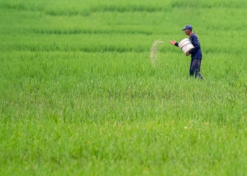 Pemkot Madiun dapat tambahan alokasi pupuk subsidi 472 ton