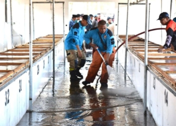 Pemkot Surabaya tata kawasan Pasar Daging Arimbi