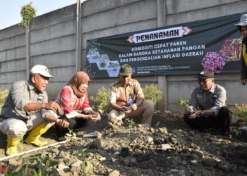 Pemkot Surabaya siapkan langkah kendalikan harga cabai