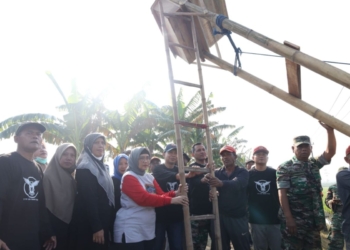 Pemkab Lumajang pasang rumah burung hantu antisipasi hama tikus