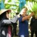 Pemkab Banyuwangi dukung majukan pisang cavendish