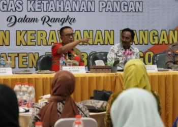Pemkab Probolinggo bentuk Satgas Ketahanan Pangan atasi kerawanan