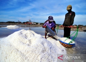 Pemkab Pamekasan bantu petani garam lewat program integrasi pengelolaan tambak