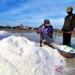 Pemkab Pamekasan bantu petani garam lewat program integrasi pengelolaan tambak
