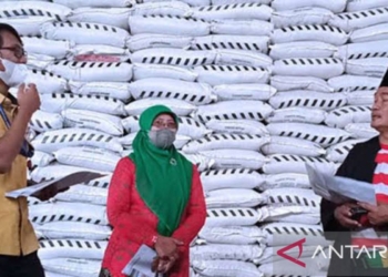 Pemerintah menambah alokasi pupuk bersubsidi untuk petani