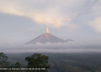 Semeru kembali erupsi dengan tinggi letusan hingga 800 meter