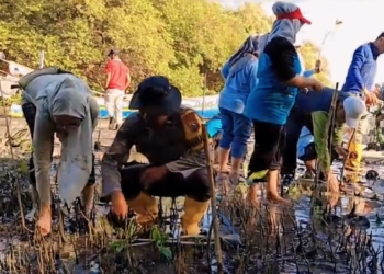 Tanam mangrove, Polres Probolinggo jaga kelestarian lingkungan