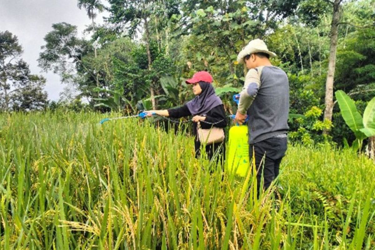 Mahasiswa Unej ciptakan alat pembuat pestisida ramah lingkungan