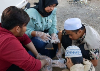 Pertuni Probolinggo berikan pelatihan budi daya jamur, buka peluang wirausaha