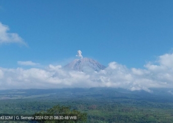 Gunung Semeru erupsi dengan letusan setinggi 600 meter