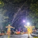 Warga Jember lestarikan kesenian tradisional dalam Purnama di Jambuan