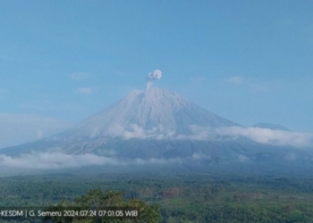 Semeru beberapa kali erupsi dengan tinggi letusan hingga 800 meter
