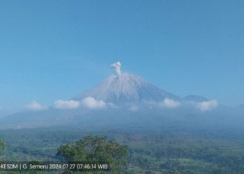 Semeru kembali erupsi dengan letusan setinggi 800 meter