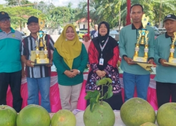 Pemkab Magetan promosikan jeruk pamelo melalui “Kontes Pamelo 2024”