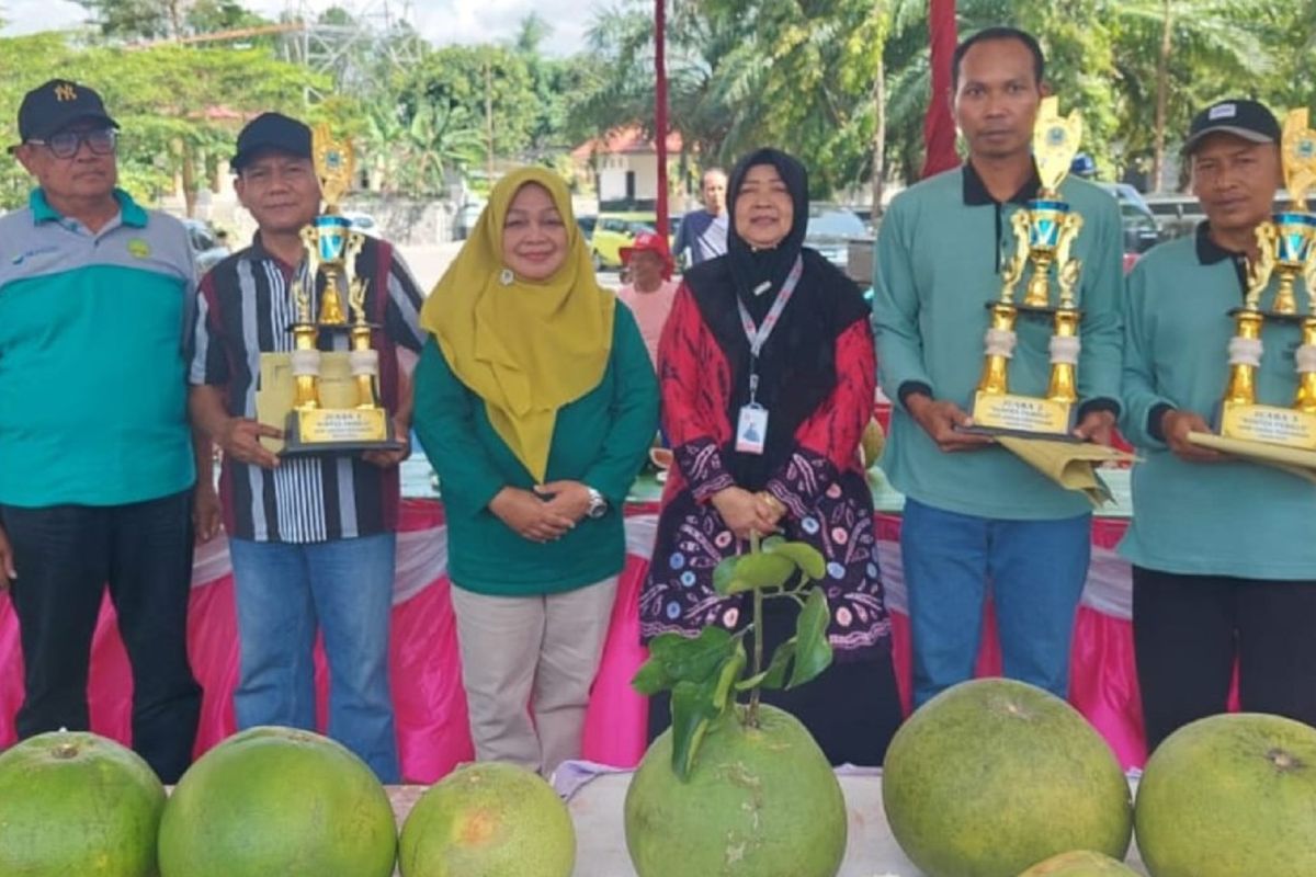 Pemkab Magetan promosikan jeruk pamelo melalui “Kontes Pamelo 2024”