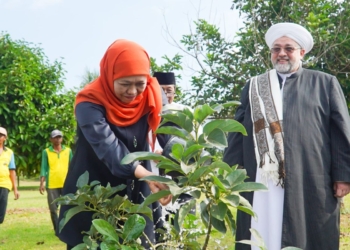 Khofifah perkenalkan kekayaan agrikultur Jatim ke Syekh Afeefuddin