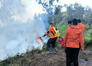 BPBD Jatim berjibaku padamkan api di Gunung Bromo