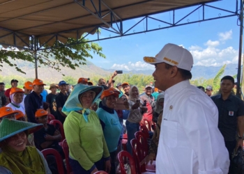 Menteri PMK sebut nasi jagung bisa jadi pilihan menu makan siang gratis