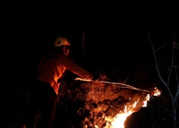 Hutan jati seluas tujuh hektare di Ponorogo hangus terbakar