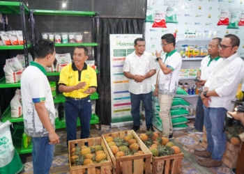 Petrokimia Gresik dukung kesejahteraan petani lewat Kampung Makmur