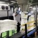SGN PG Djatiroto giling 456 ribu ton tebu produksi gula
