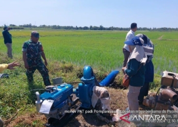 Petani di Situbondo manfaatkan Program Pompanisasi Kementan