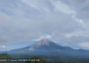 PVMBG evaluasi aktivitas Gunung Semeru yang berstatus waspada