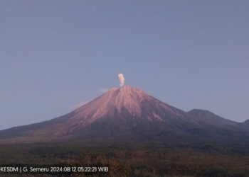 Semeru kembali erupsi dan keluarkan abu vulkanik setinggi 800 meter