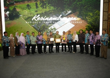 Kota Madiun raih 12 penghargaan Program Kampung Iklim 2024