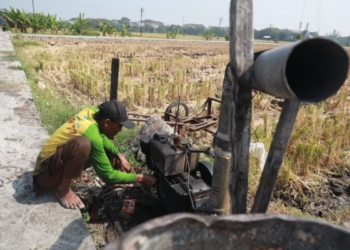 DKPP Kota Madiun pasang 120 sumur sibel untuk bantu irigasi petani