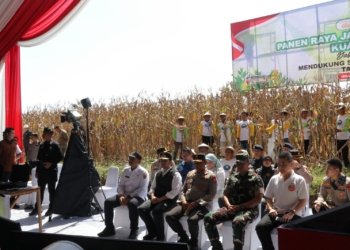 Presiden RI, Pimpin Panen Raya JagungSecara Hybird : Jamin Swasembada Pangan 2026