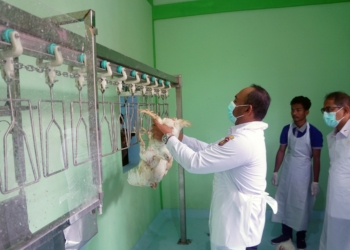 Peresmian RPHU di Pasar Hewan Karangrejo, Perkuat Sentra Peternakan Terintegrasi