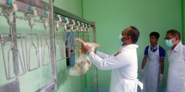 Peresmian RPHU di Pasar Hewan Karangrejo, Perkuat Sentra Peternakan Terintegrasi